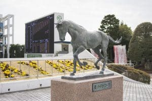 競馬初心者でも当たる馬券「ワイド」