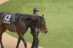 競馬 初心者 ワイド